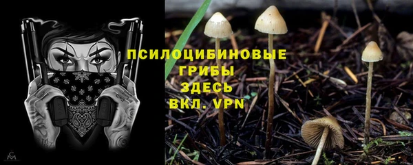mix Верхний Тагил